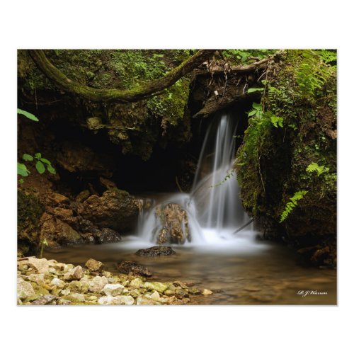 Big Springs Nature Park Close Up 16x20 Photo Print