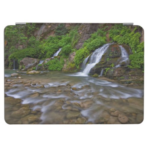 Big Springs Virgin River  Zion National Park iPad Air Cover