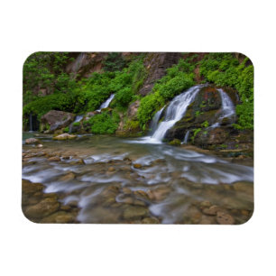 Big Springs Virgin River Zion National Park Magnet