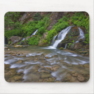 Big Springs Virgin River   Zion National Park Mouse Pad