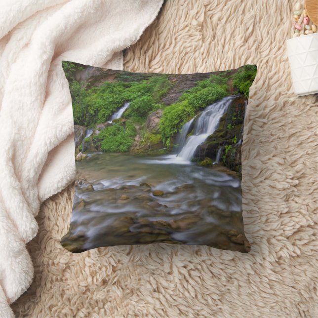 Big Springs Virgin River | Zion National Park Throw Pillow (Blanket)