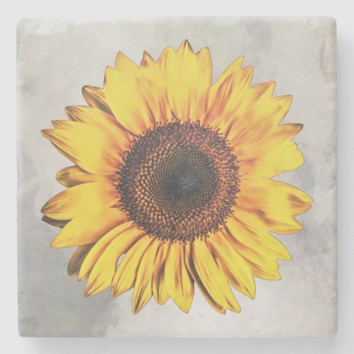 Big Sunflower Flower Floral Art Coaster