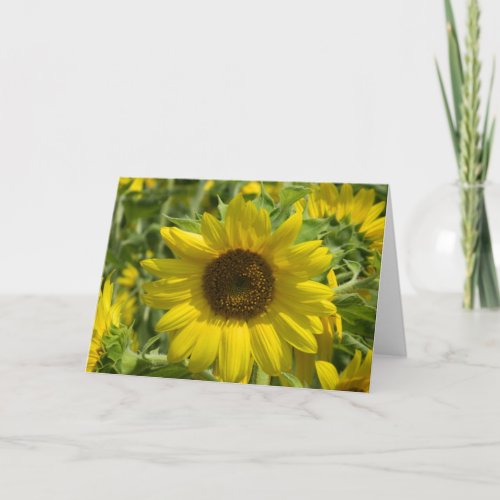 Big Sunflower Greeting Card
