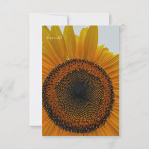 Big Sunflower Note Card
