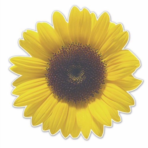 Big Sunflower Vinyl Sticker