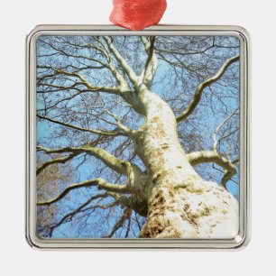 Big Sunny Tree Branches in Heavenly Blue Sky Metal Ornament