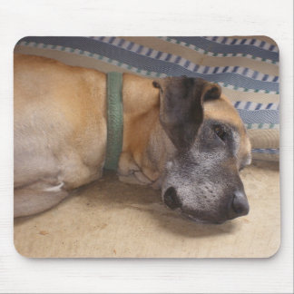 Big Sweet Great Dane Mouse Pad