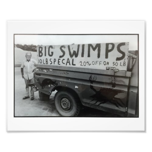 Big Swimps Print Photo Print