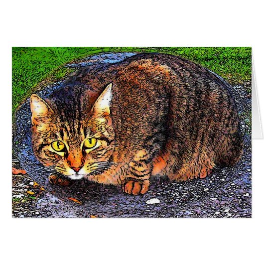 Big Tabby Cat Cards (Front Horizontal)