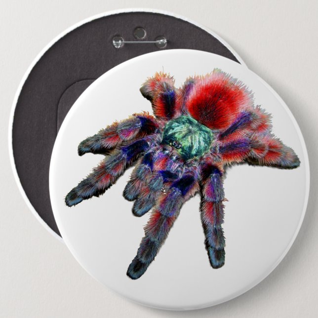 Big teal purple red and blue tarantula spider button | Zazzle