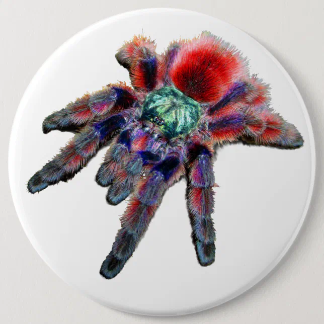 Big teal purple red and blue tarantula spider button | Zazzle