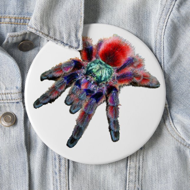 Big teal purple red and blue tarantula spider button | Zazzle