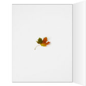 Big Thanksgiving Fall in Central Park for Brother (Inside (Left))