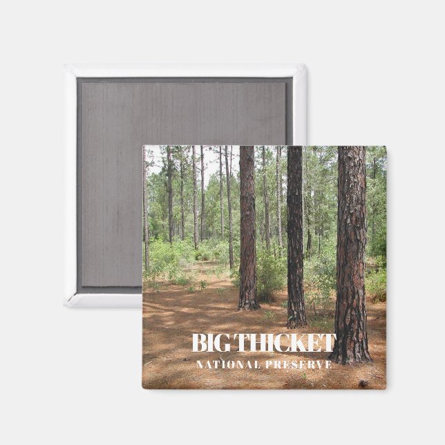 Big Thicket National Preserve, Pine Forest, Texas Magnet (Front/Back)
