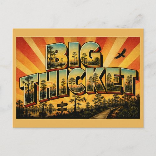 Big Thicket TX Swamp Pine Savanna Art Postcard