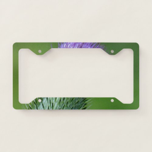 Big thistle license plate frame