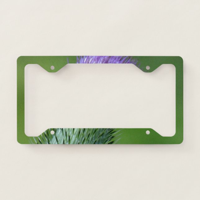Big thistle license plate frame (Front)
