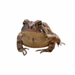 Big Toad Cutout<br><div class="desc">This unique photo sculpture pin features a big brown and black toad.</div>