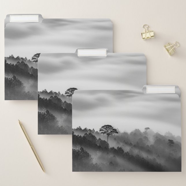 Big Tree in Pine Forest in the Mist File Folder (Set)