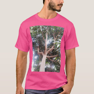 Big Tree Inside The Forest 1 T-Shirt