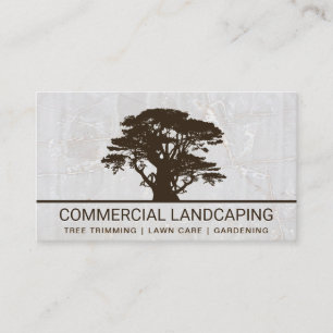Big Tree Logo White Rock Background Business Card