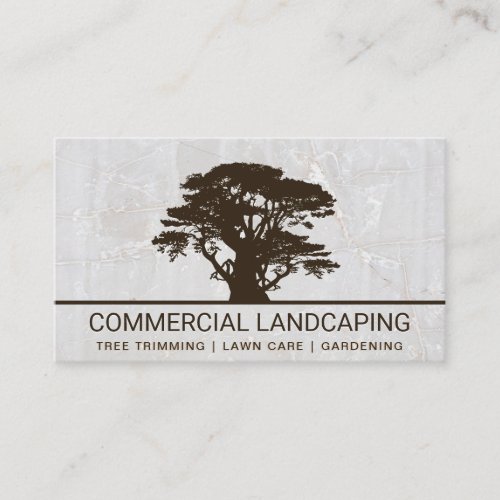 Big Tree Logo  White Rock Background Business Card