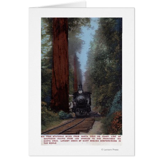 Big Tree Railroad Station Cards (Front)