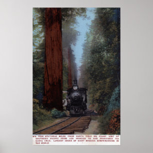 Big Tree Railroad Station Poster