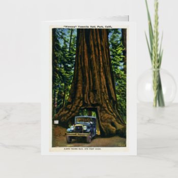 Big Tree Wawona  Mariposa Grove  Ca Foil Greeting Card by scenesfromthepast at Zazzle