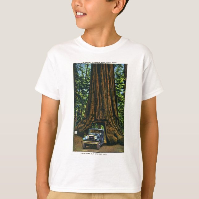 Big Tree Wawona, Mariposa Grove, CA T-Shirt (Front)