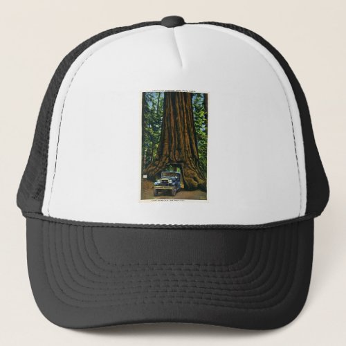 Big Tree Wawona Mariposa Grove CA Trucker Hat