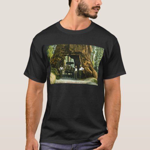 Big Tree Wawona Mariposa Grove CA Vintage T_Shirt