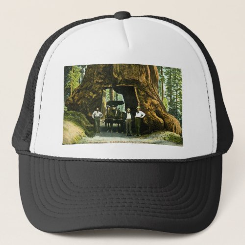 Big Tree Wawona Mariposa Grove CA Vintage Trucker Hat