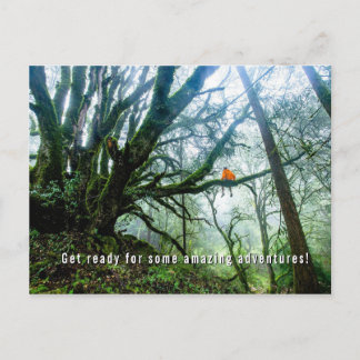 Big Trees Amazing Adventure Teacher Note Postcard