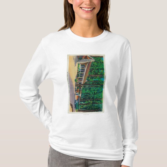 Big Trees Lodge in The Mariposa Grove T-Shirt (Front)
