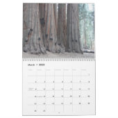 Big Trees of California 2024 Calendar (Mar 2025)
