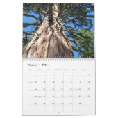Big Trees of California 2024 Calendar (Feb 2025)
