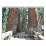 Big Trees Of California 2024 Calendar at Zazzle