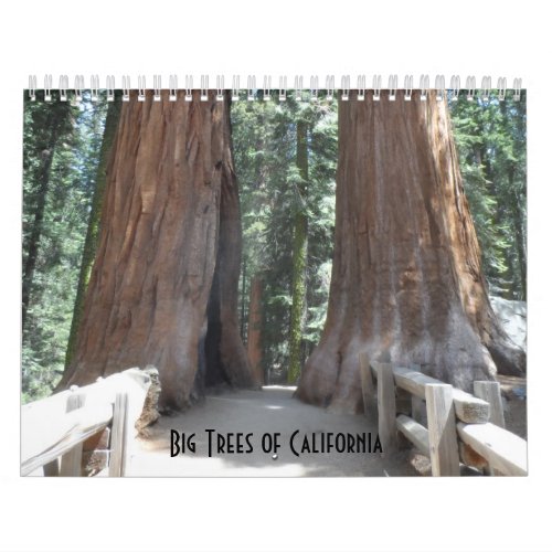 Big Trees of California 2024 Calendar