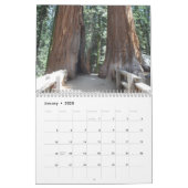 Big Trees of California 2024 Calendar (Jan 2025)