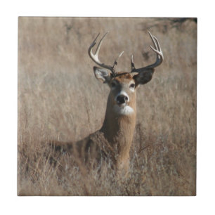 Big Trophy Buck Deer in Tall Grass Camo Ceramic Tile