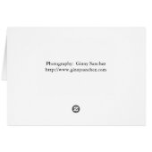 Big Wheel (card) (Back Horizontal)