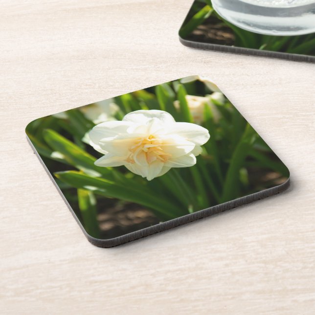 Big white daffodils on a spring day  beverage coaster (Left Side)