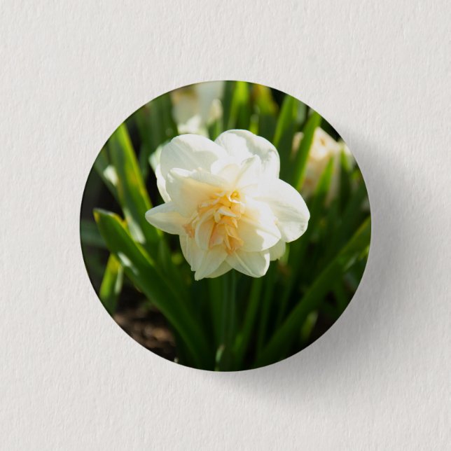 Big white daffodils on a spring day   button (Front)
