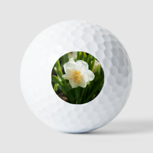 Big white daffodils on a spring day golf balls