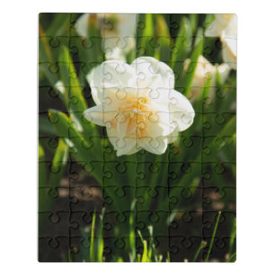 Big white daffodils on a spring day jigsaw puzzle
