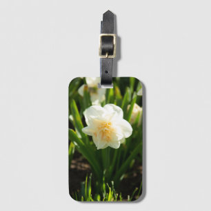 Big white daffodils on a spring day luggage tag