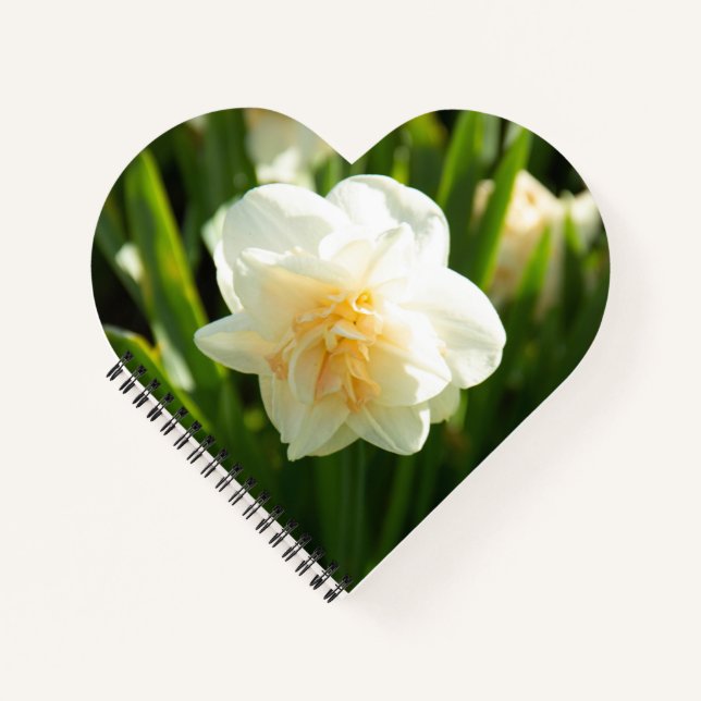 Big white daffodils on a spring day  notebook (Front)