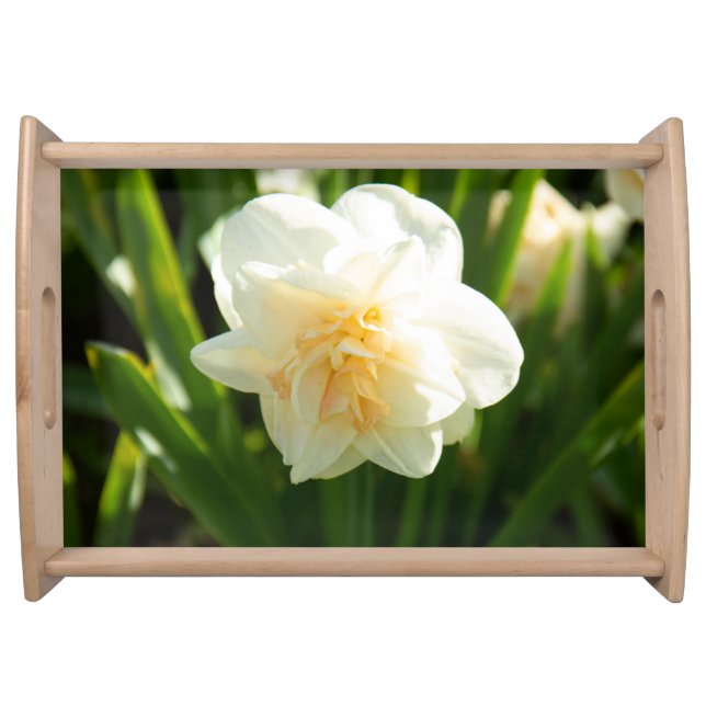 Big white daffodils on a spring day   serving tray (Front)