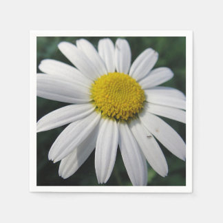 Big White Daisy Napkins